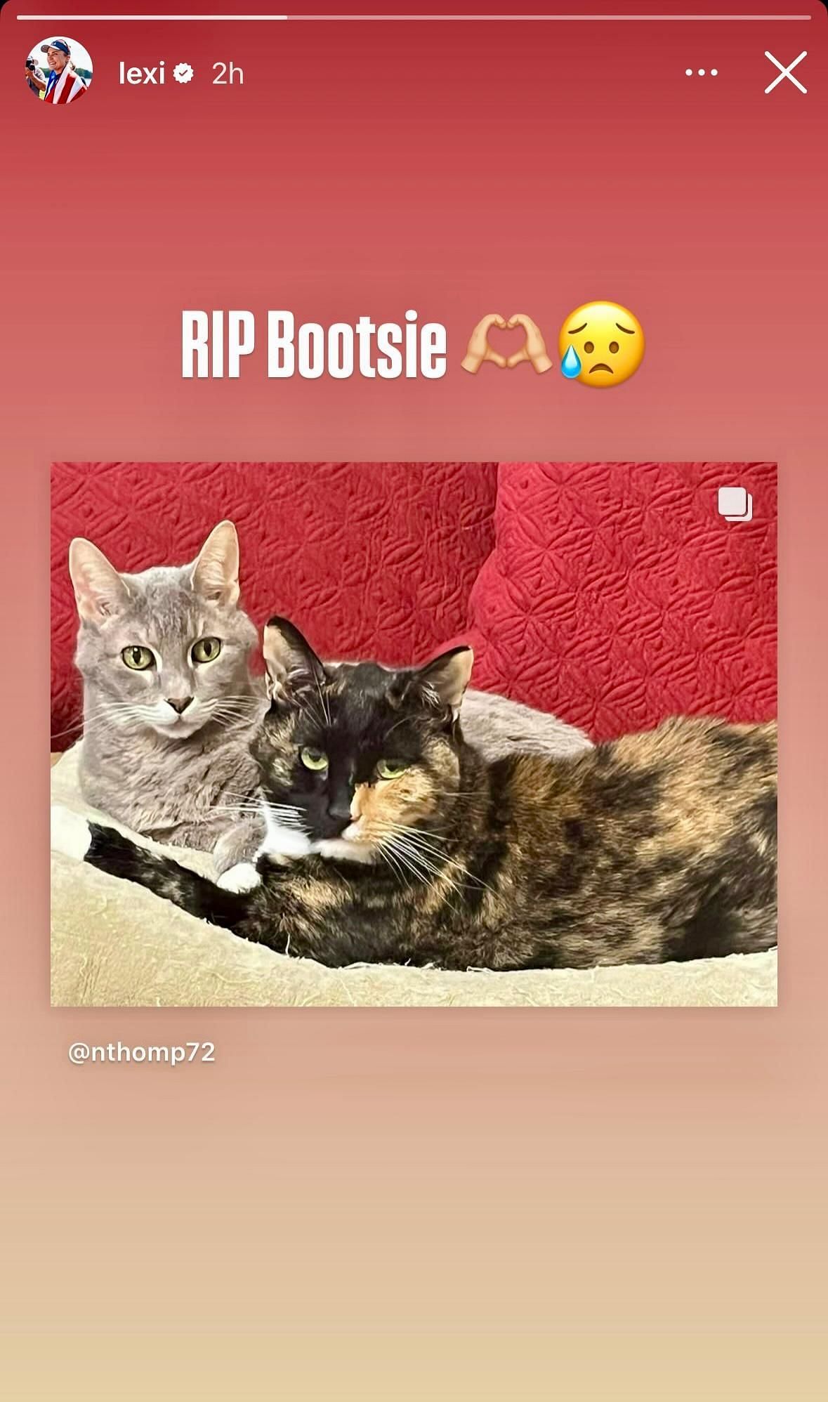 Image via Instagram, Lexi Thompson's Instagram story